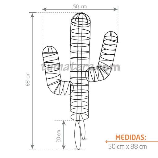 Estructura Topiario Cactus 50 CM con medidas