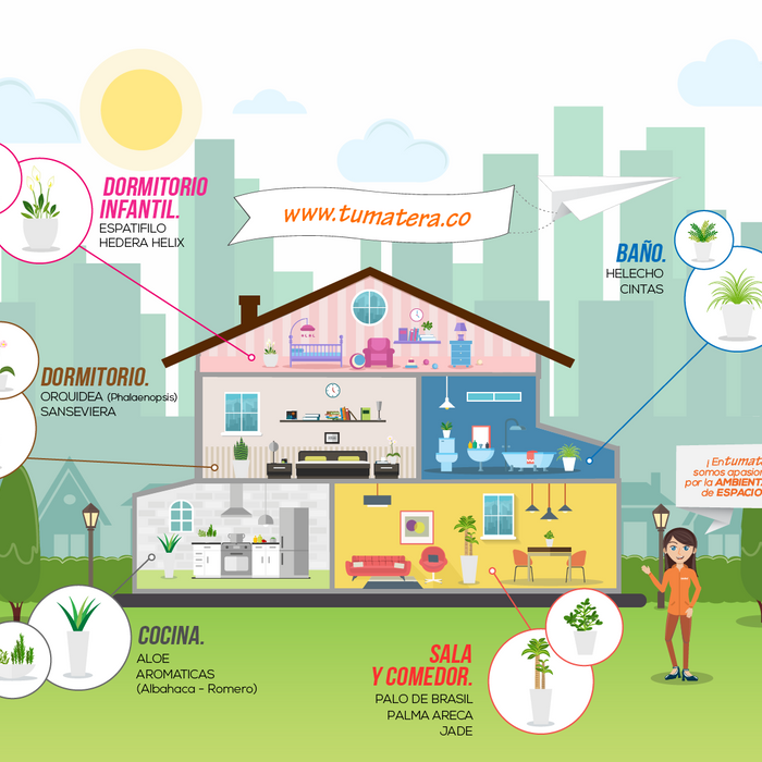 La magia de las plantas en cada rincón de tu hogar