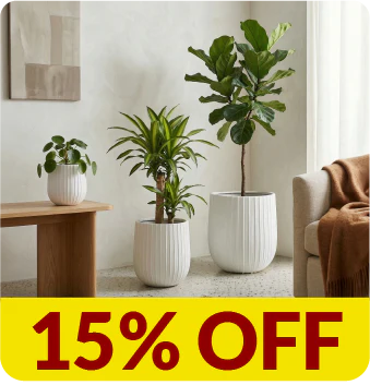 Materas Fibro Arcilla