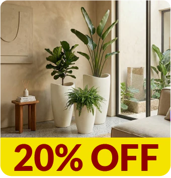 Materas Vasart - Tumatera.co