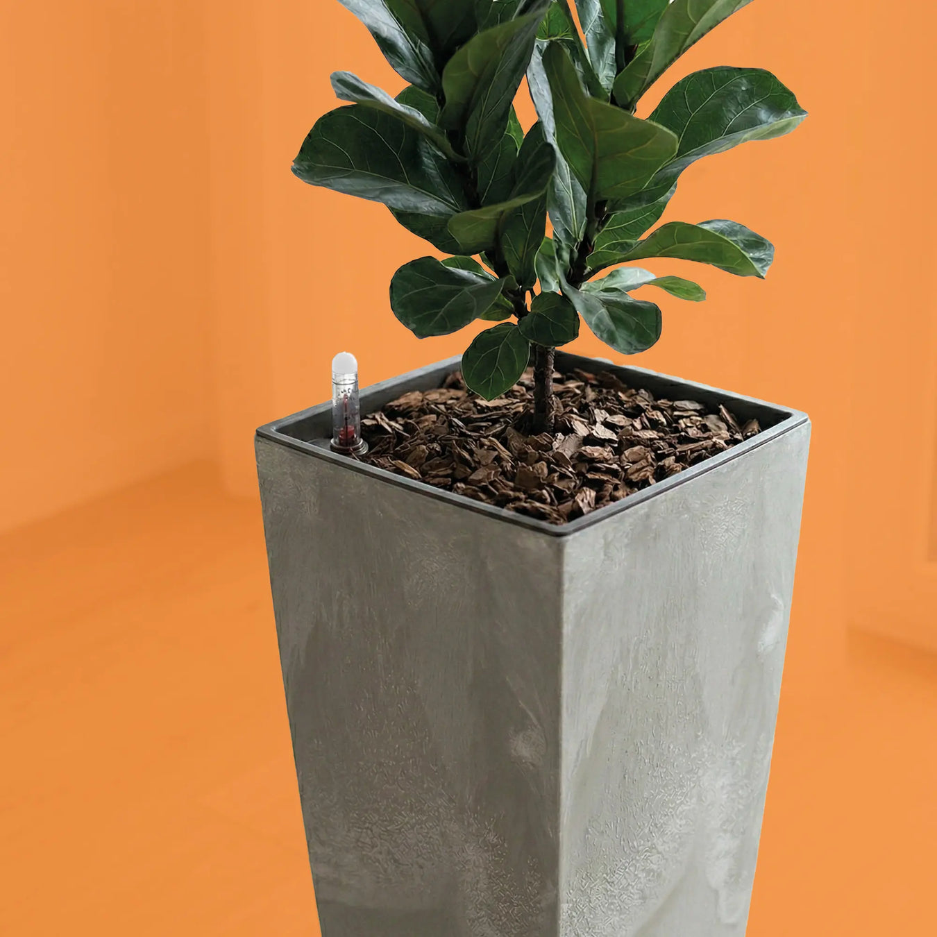 Kits Materas + Autorriego