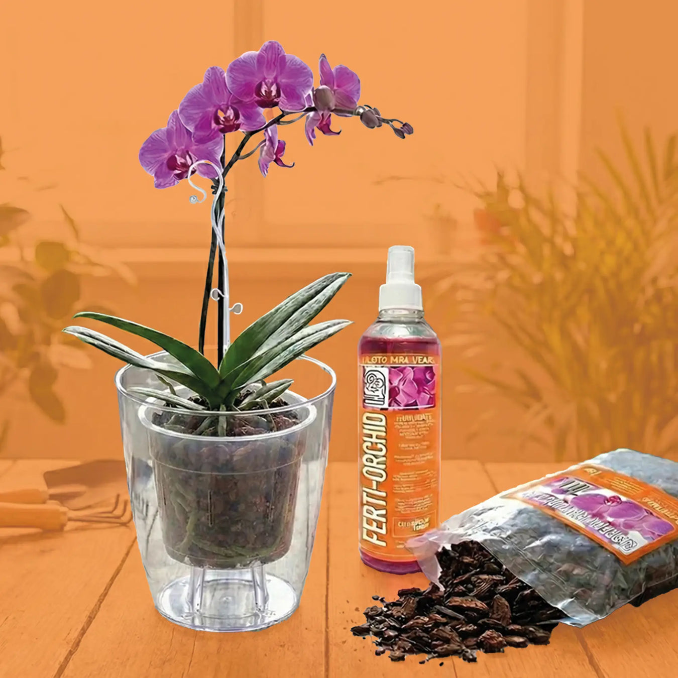Kits de Orquidea