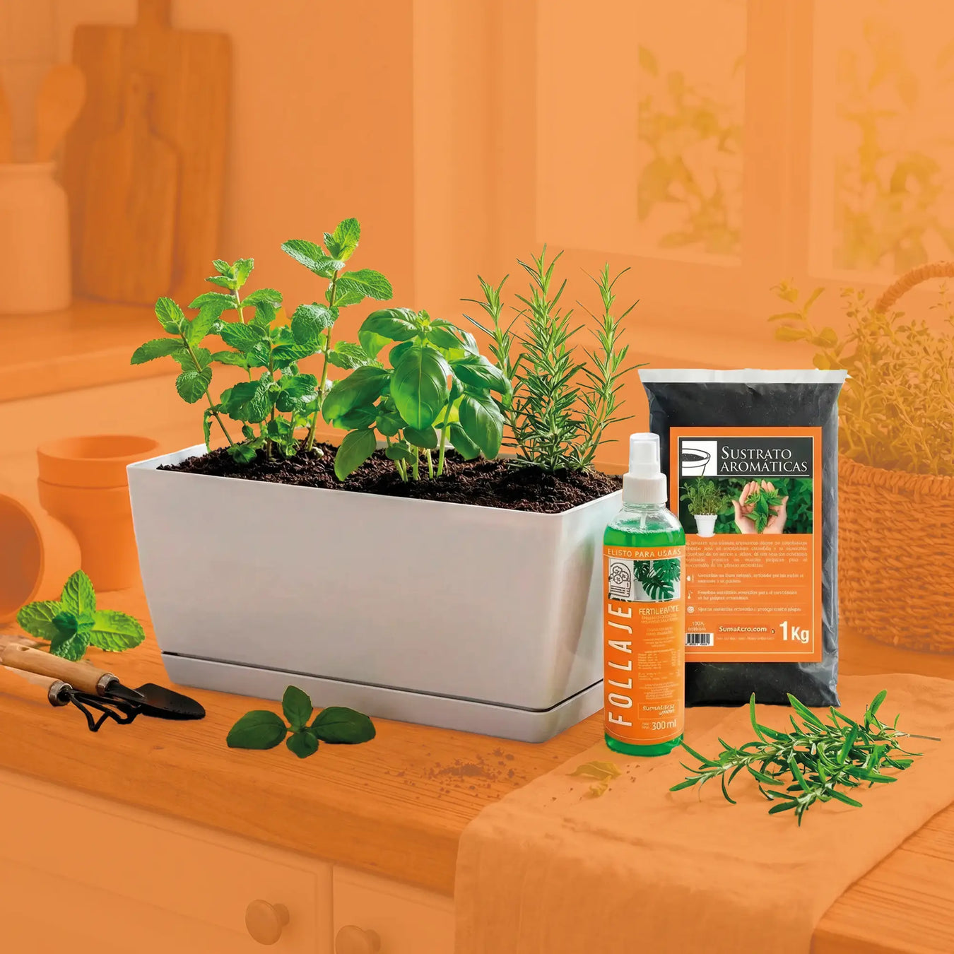 Kits de Aromáticas