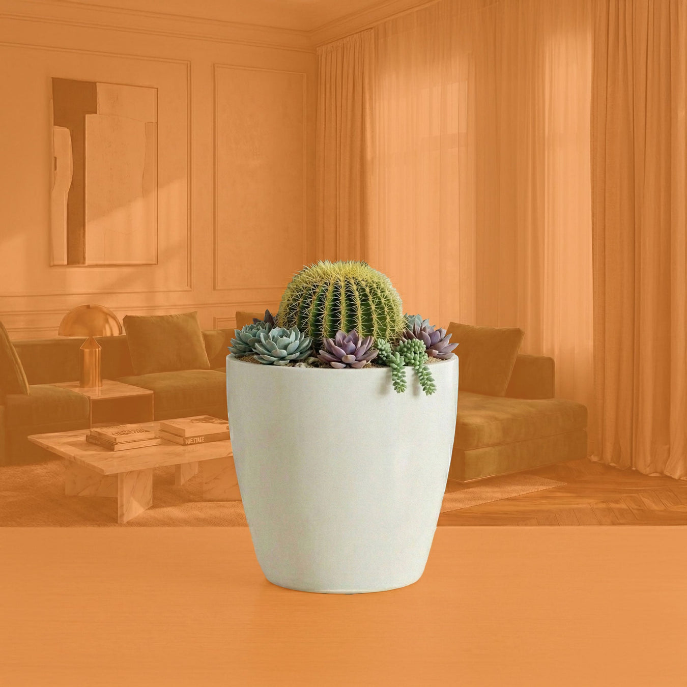 Para tus Suculentas y Cactus