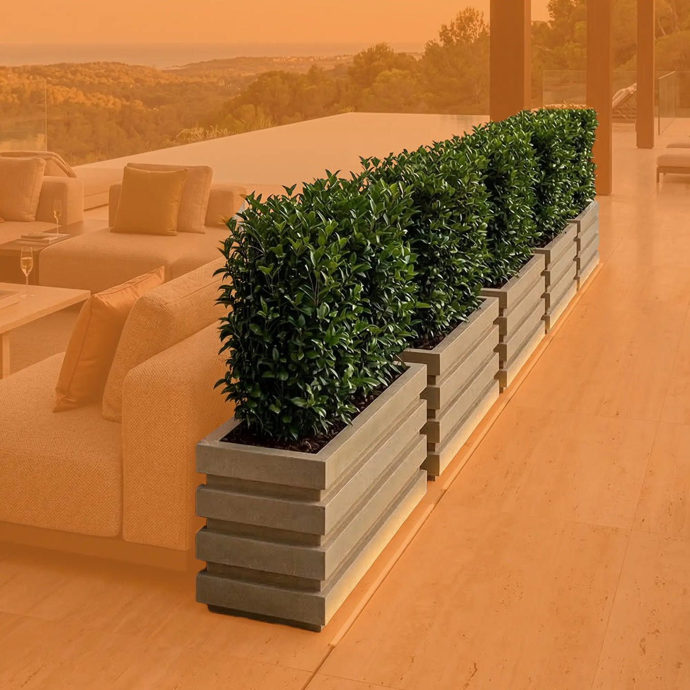 Plantas de Exterior