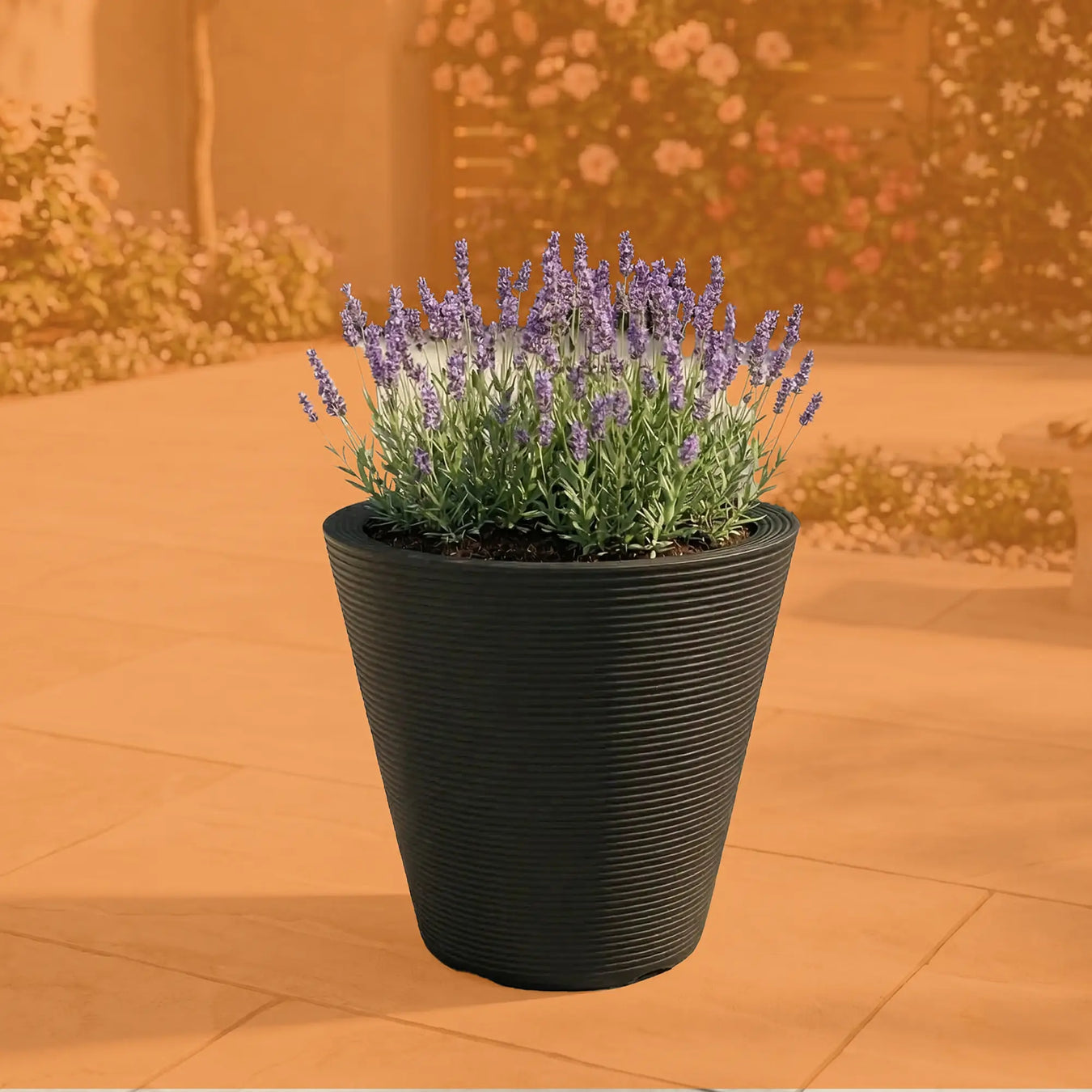 Plantas Polinizadoras