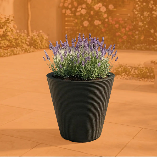 Plantas Polinizadoras