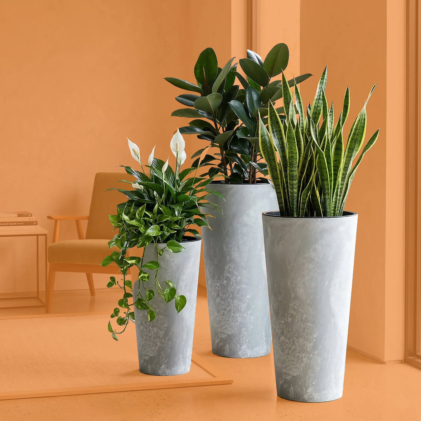Plantas Purificadoras de Aíre