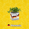 Materas Alemania