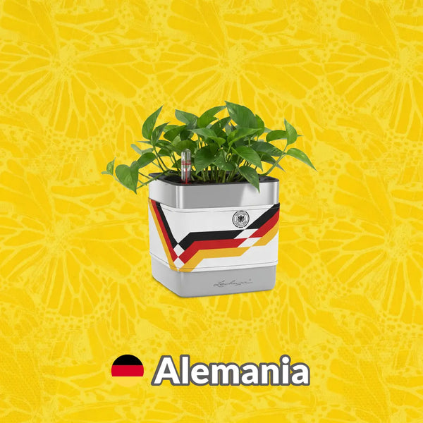 Materas Alemania