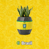 Materas Brasil