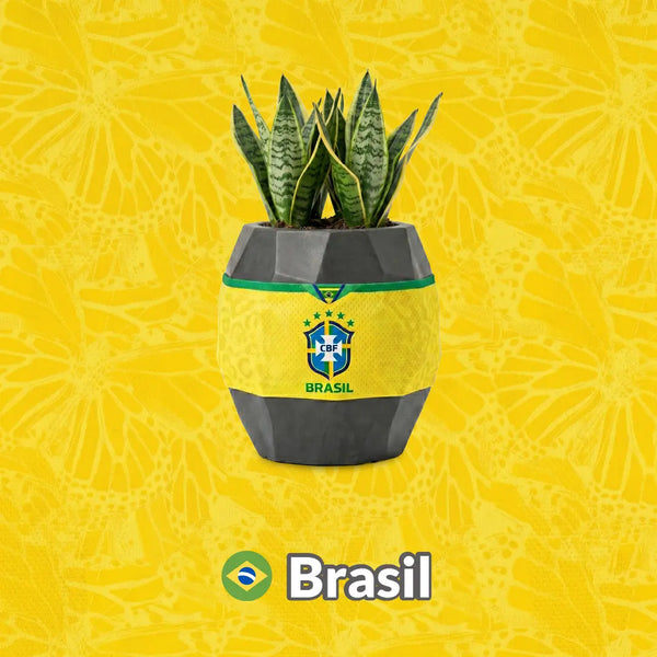 Materas Brasil