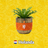 Materas Holanda
