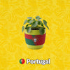Materas Portugal