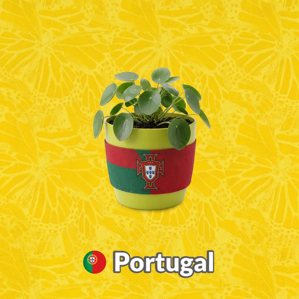 Materas Portugal