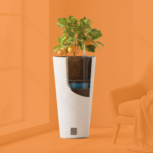 Sistemas de Autoriego