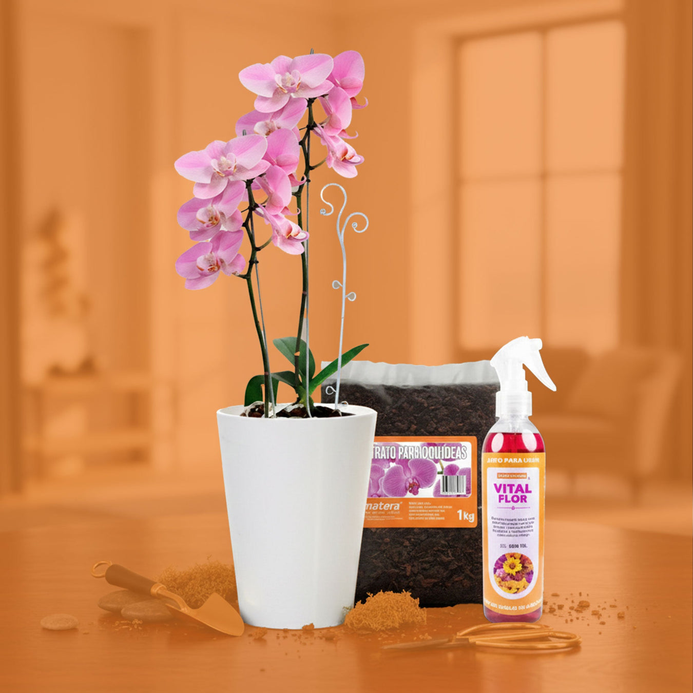 Complementos Orquídea