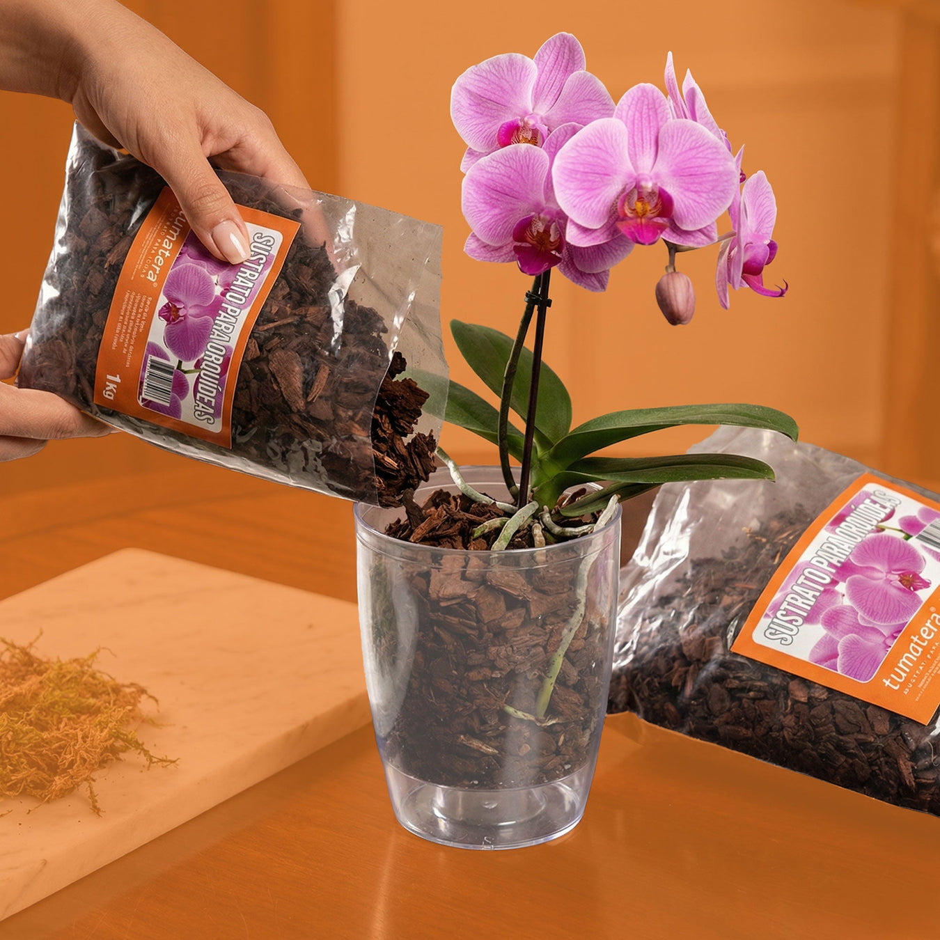 Para Orquideas