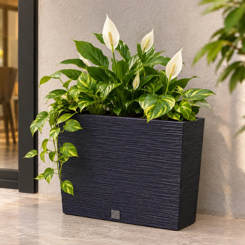 Jardinera Furu Case 58 X 50 cm - ambiente #ia - Tumatera.co