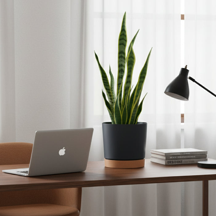 Matera cilíndrica y minimalista Tubo de 24cm en color antracita, mostrando su acabado liso y su forma pura. #ia - Tumatera.co