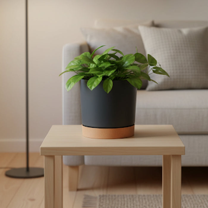 Matera cilíndrica y minimalista Tubo de 18cm en color antracita, mostrando su acabado liso y su forma pura. #ia - Tumatera.co