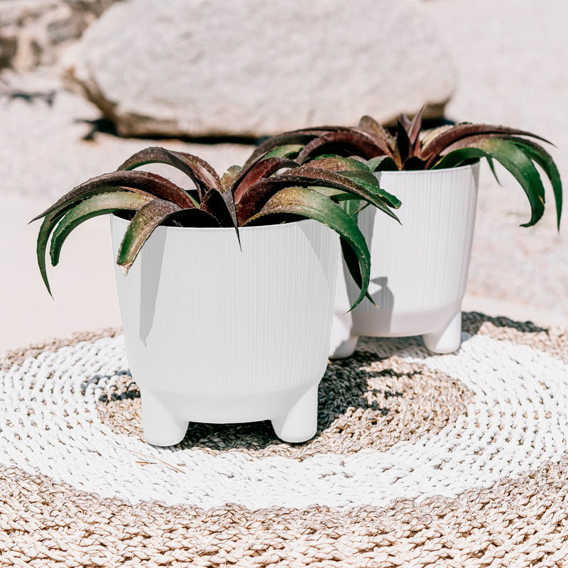 Kit Ryfo N Eco - Tumatera.co