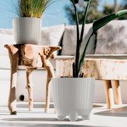 Kit Ryfo N Eco - Tumatera.co