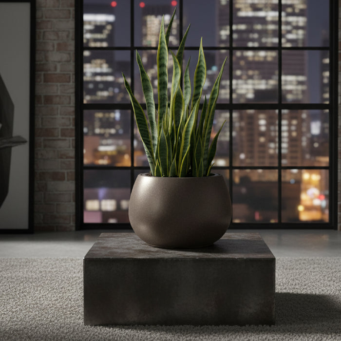 Matera ecológica tipo bowl Heos de 37cm en color café, mostrando su acabado con fibras de madera y su insert interior - #ia Tumatera.co