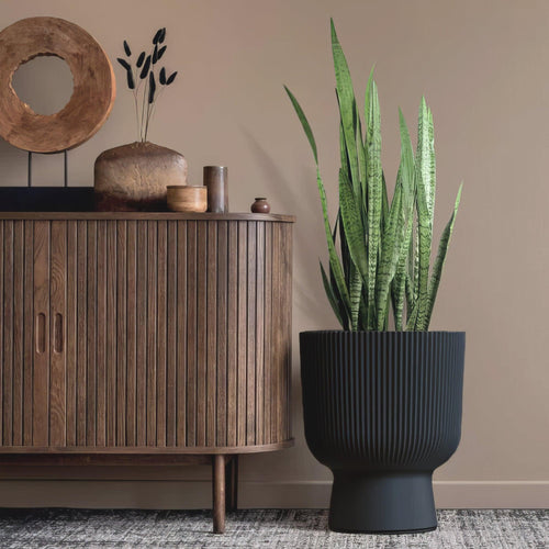 MATERA MILLY COPA 38 CM X 50 CM - Tumatera.co