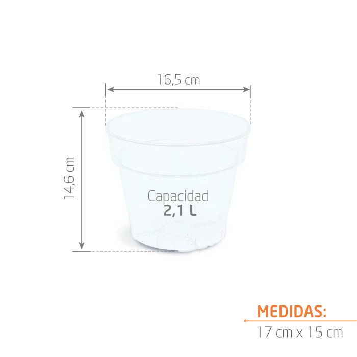 Matera Planti 17 x 15 cm Transparente