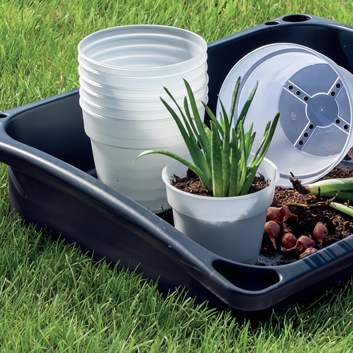 Matera Planti 17 x 15 cm Transparente - ambiente #ia - Tumatera.co