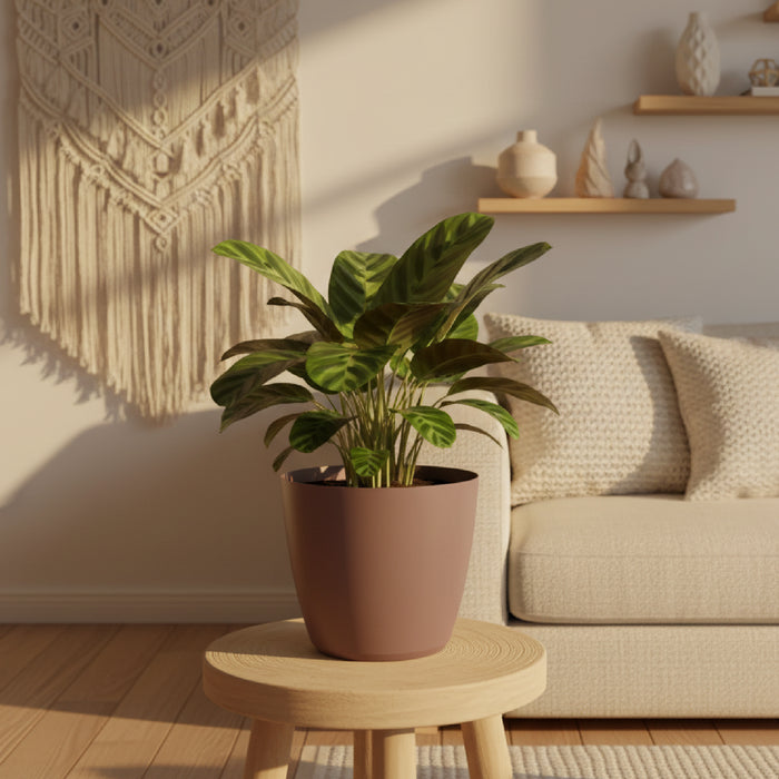 Matera mediana minimalista Mate de 20cm en color marsala, mostrando su acabado liso y su forma cónica clásica. #ia - Tumatera.co