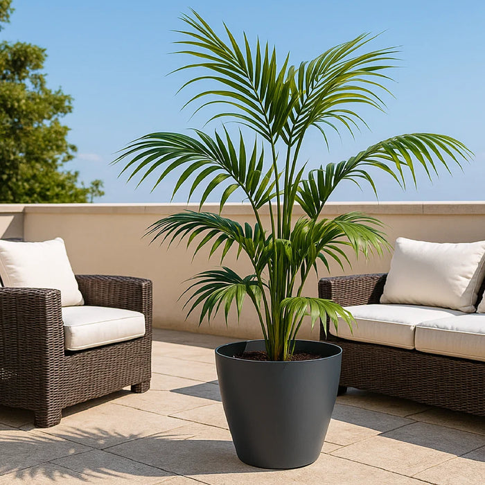 Matera Mate 39 x 35 cm antracita - ambiente #ia - Tumatera.co