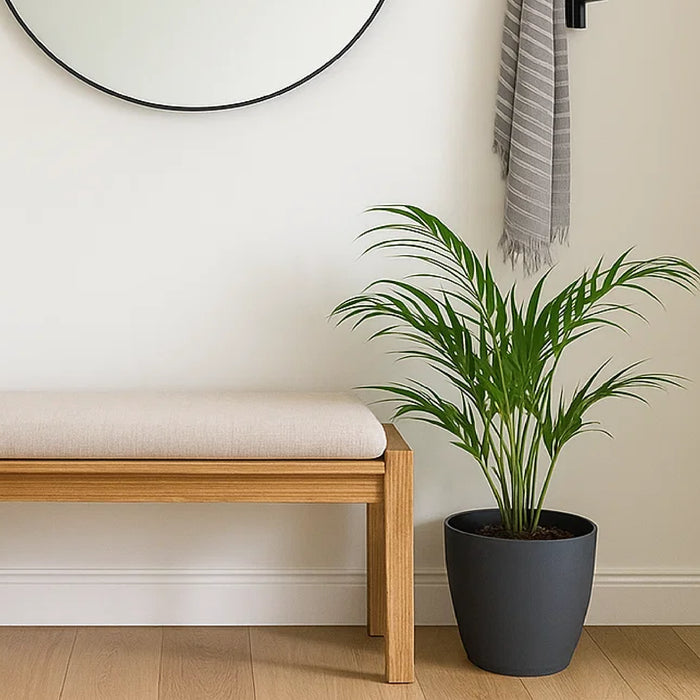 Matera Mate 30 x 27 cm antracita - ambiente #ia - Tumatera.co