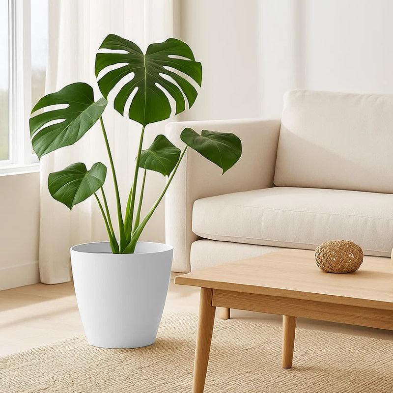 Matera Mate 30 x 27 cm blanco - ambiente #ia - Tumatera.co