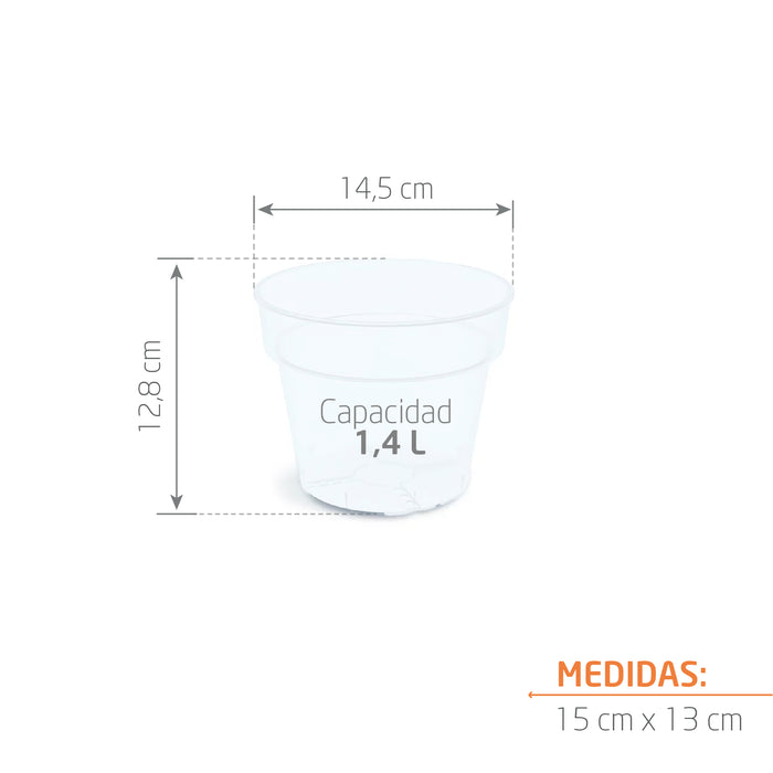 Matera Planti 15 x 13 cm Transparente