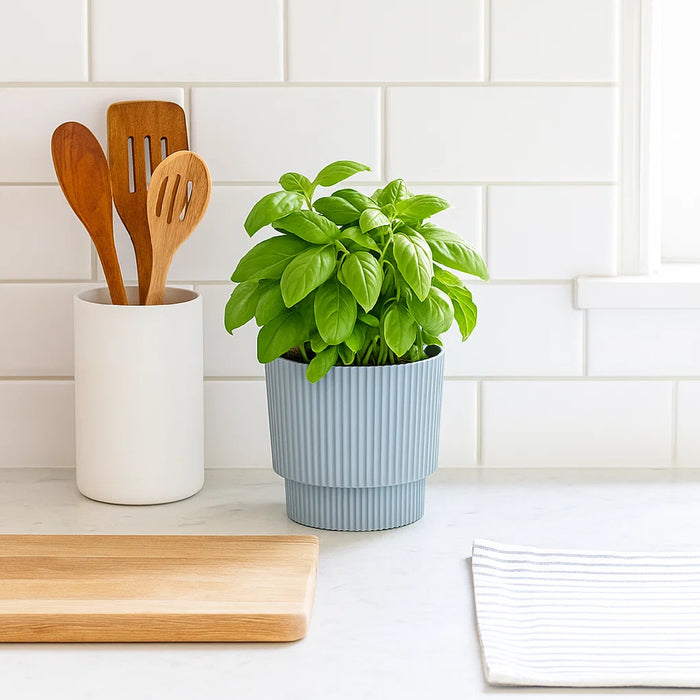 Matera Milly Round 15 x 16 cm gris claro - ambiente #ia - Tumatera.co