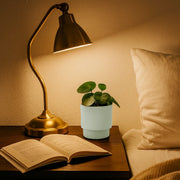 Matera Milly Round 15 x 16 cm blanco - ambiente #ia - Tumatera.co