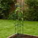 Soporte para plantas 21 x 120 cm - ambiente #ia - Tumatera.co
