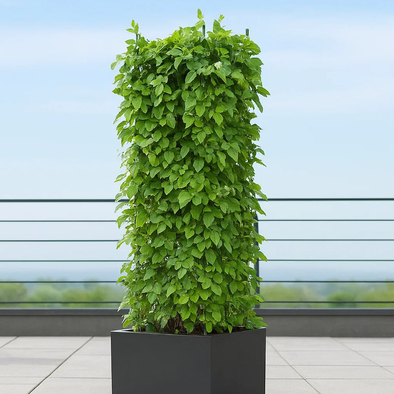 Soporte para plantas 29 x 120 cm - ambiente #ia - Tumatera.co