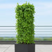 Soporte para plantas 29 x 120 cm - ambiente #ia - Tumatera.co