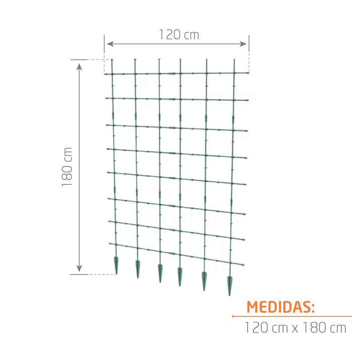 Soporte para enredaderas 60 x 180 cm