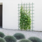 Soporte para plantas 60 x 180 cm - ambiente #ia - Tumatera.co