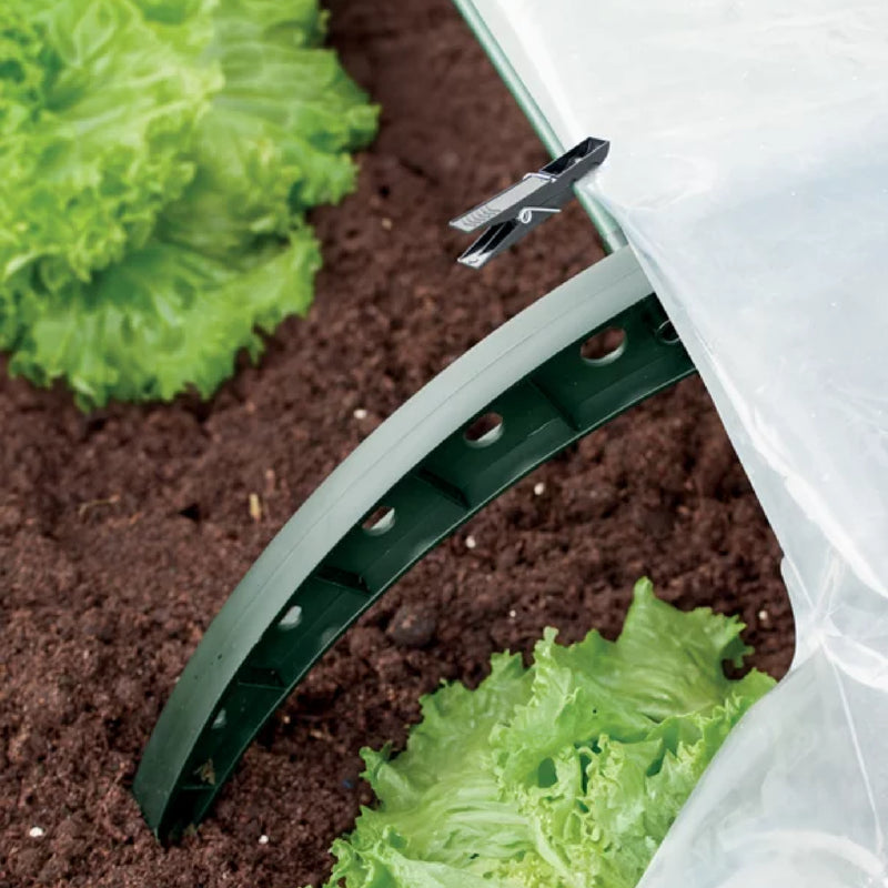 Mini invernadero para plantas 360 x 30 cm - ambiente 2 #ia - Tumatera.co