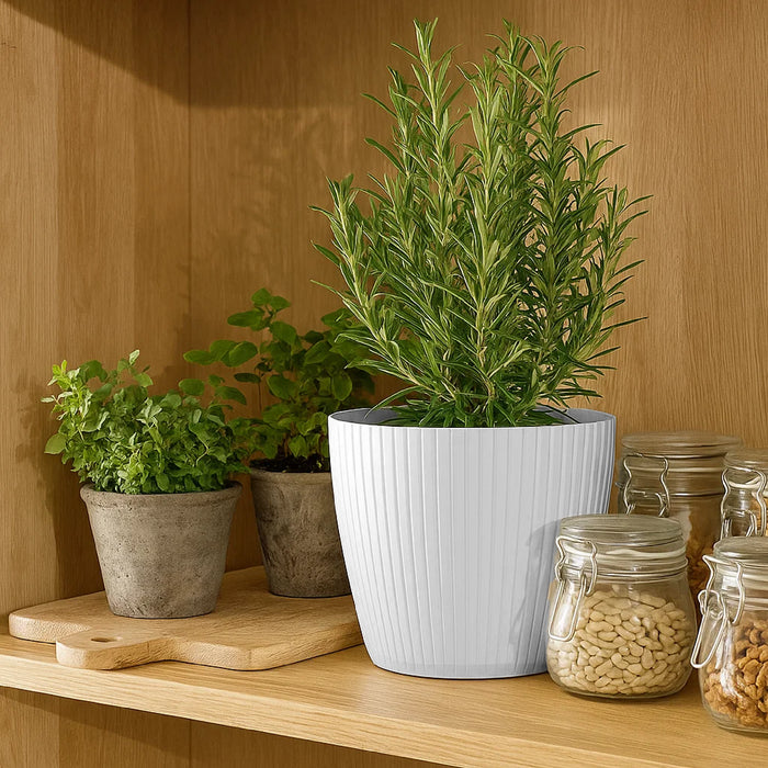 Matera Lamia 20 x 17 cm blanco - ambiente #ia - Tumatera.co