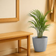 Matera Lamia 30 x 25 cm gris claro - ambiente #ia - Tumatera.co
