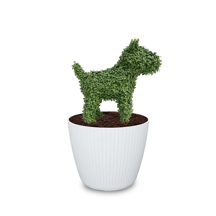 Estructura Topiario Perro 26 Cm - ambiente #ia - Tumatera.co