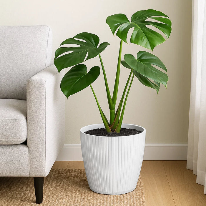 Matera Lamia 30 x 25 cm blanco - ambiente #ia - Tumatera.co