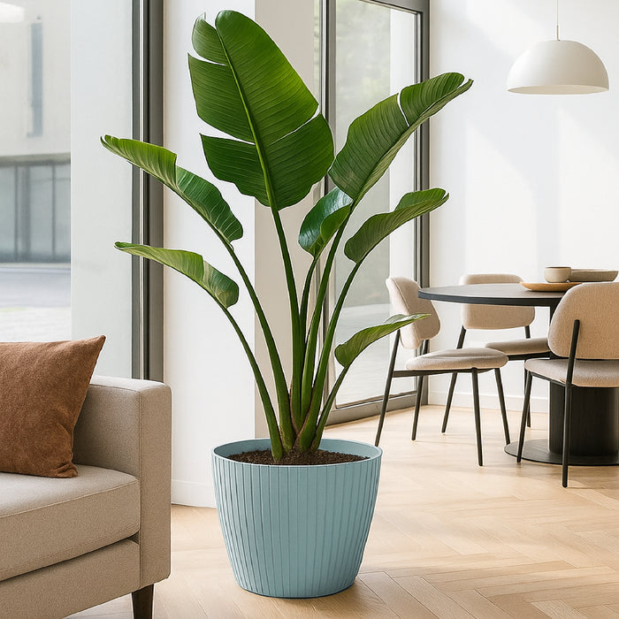 Matera Lamia 39 x 33 cm gris claro - ambiente #ia - Tumatera.co