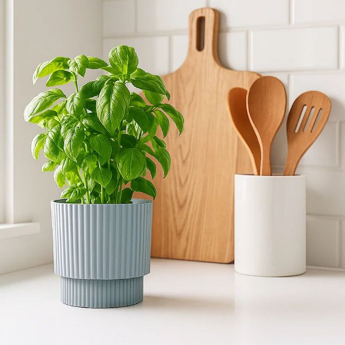 Matera Milly Round 17 x 18 cm gris claro - ambiente #ia - Tumatera.co